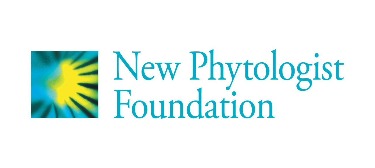 The New Phytologist Foundation