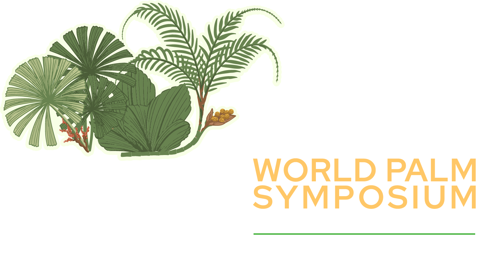 PALMS 2026